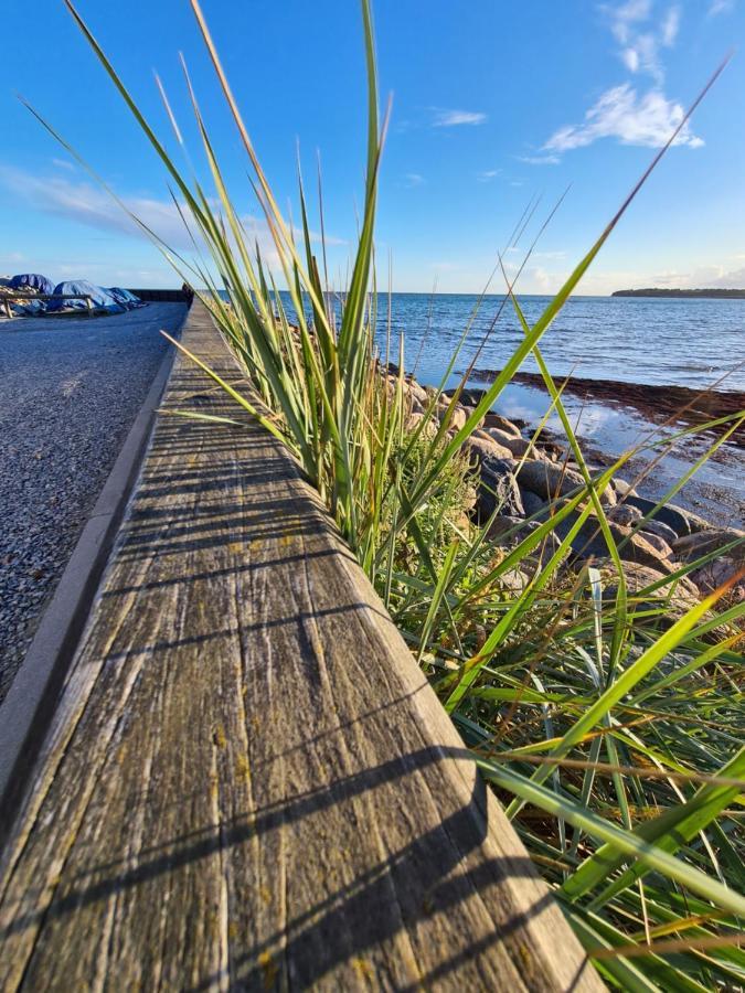 Danhostel Stevns Klint Store Heddinge 외부 사진