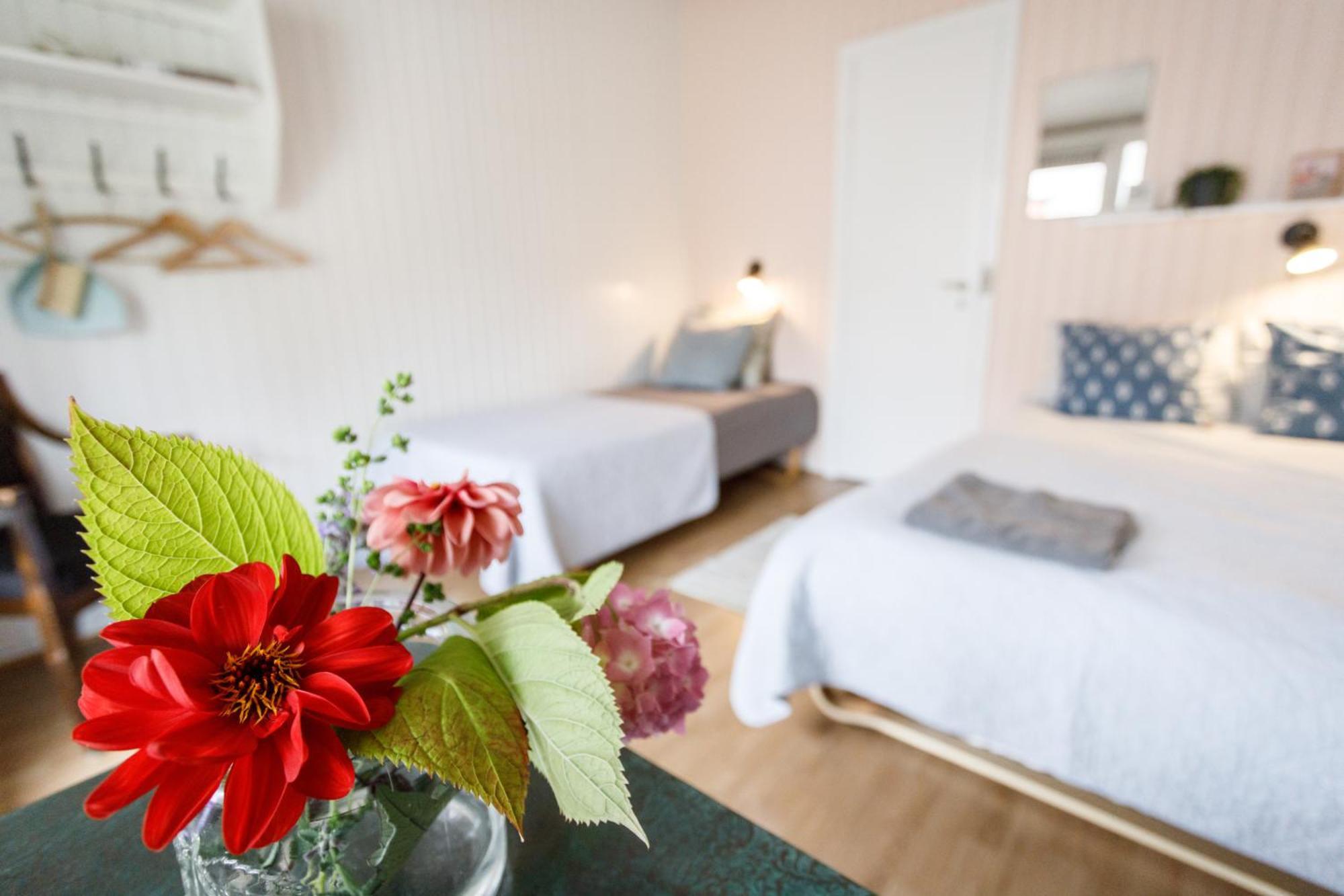 Danhostel Stevns Klint Store Heddinge 외부 사진